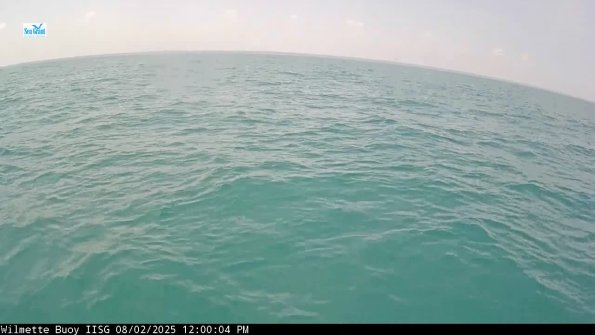 WilmetteAug022025_13hh05mm00ss