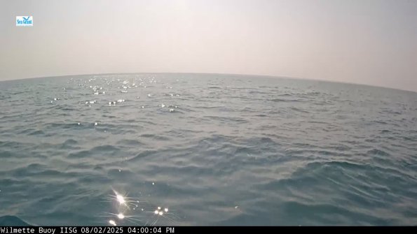 WilmetteAug022025_17hh05mm00ss