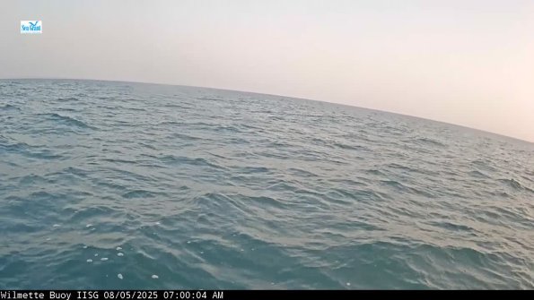 WilmetteAug052025_ 8hh05mm01ss