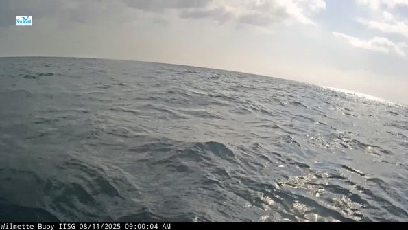 WilmetteAug112025_10hh05mm00ss