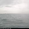 chicagoSep212025_10hh06mm01ss