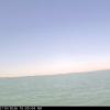chicagoImage