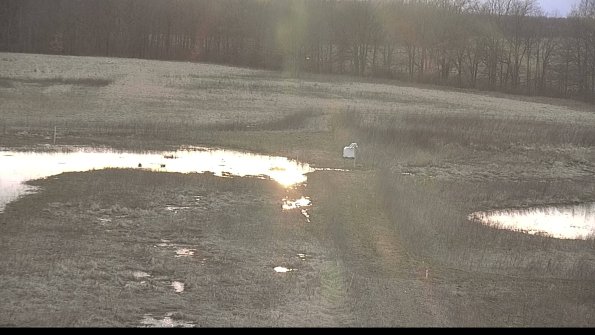 Cell 1 to 2 Monitoring-22-04-07_19-36-25-26