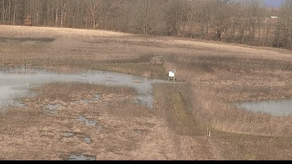 Cell 1 to 2 Monitoring22-04-07_09-14-58-48