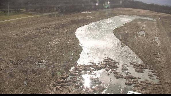 Cell 1-22-04-07_17-31-54-33