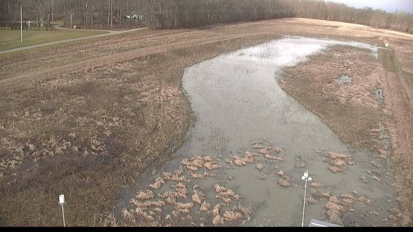 Cell 122-04-07_09-14-44-50