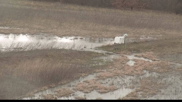 Cell 2 to 3 Monitoring-22-04-07_13-24-00-40