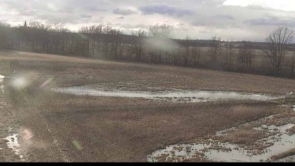 Cell 2-22-04-07_18-34-30-30