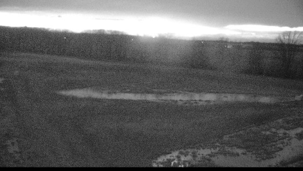 Cell 2-22-04-07_20-38-47-24