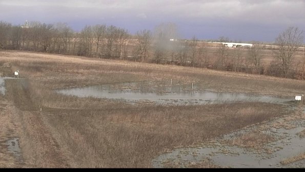 Cell 222-04-07_09-15-12-50