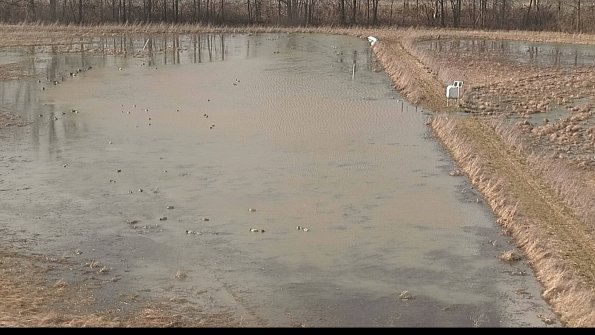 Cell 3 to 4 Monitoring-22-04-07_17-33-04-30