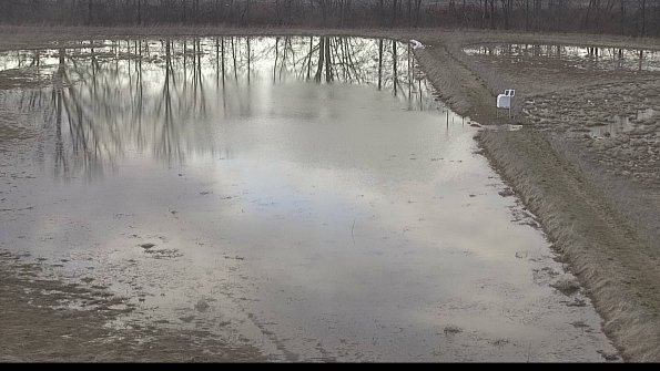 Cell 3 to 4 Monitoring-22-04-07_19-37-21-28