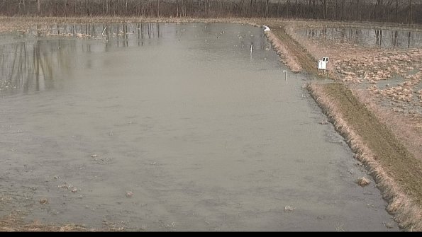 Cell 3 to 4 Monitoring22-04-07_09-15-55-51