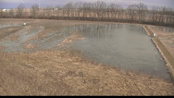 Cell 322-04-07_09-15-41-49