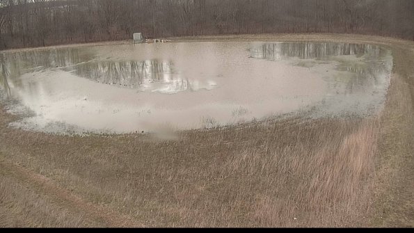 Cell 4-22-04-07_14-26-51-39