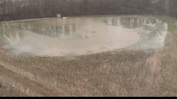 Cell 422-04-07_09-15-06-49