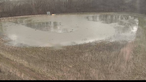 Cell 422-04-07_09-16-09-49