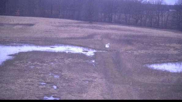 Cell 1 to 2 Monitoring-22-04-08_06-59-58-98