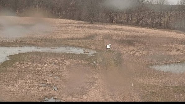 Cell 1 to 2 Monitoring-22-04-08_12-10-39-83