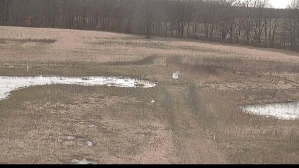 Cell 1 to 2 Monitoring-22-04-08_18-23-29-71