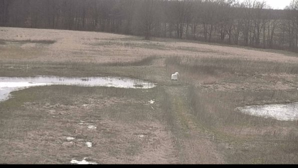 Cell 1 to 2 Monitoring-22-04-08_19-25-38-68