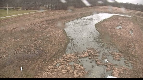 Cell 1-22-04-08_09-04-01-90