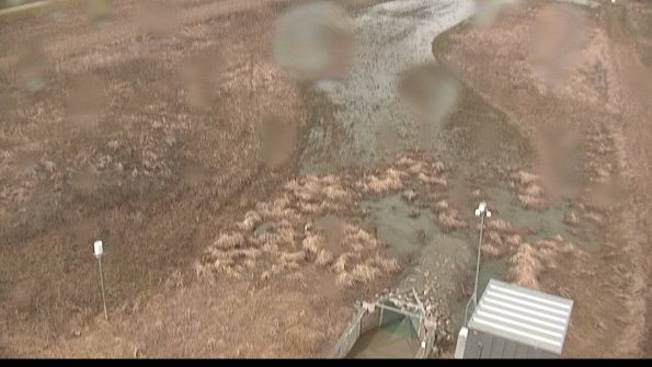 Cell 1-22-04-08_12-10-25-85