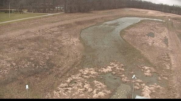 Cell 1-22-04-08_12-43-25-83