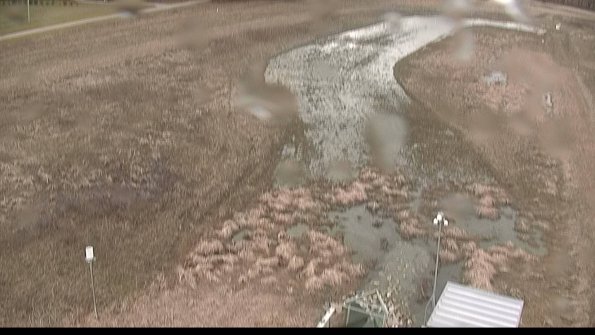 Cell 1-22-04-08_13-12-34-81