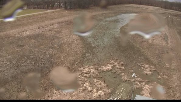 Cell 1-22-04-08_14-14-40-79