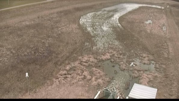 Cell 1-22-04-08_15-16-49-77