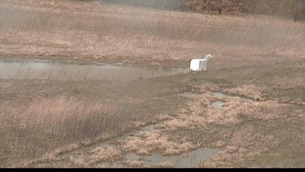 Cell 2 to 3 Monitoring-22-04-08_14-15-21-80