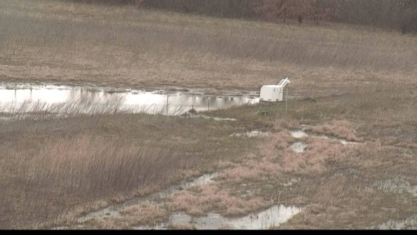 Cell 2 to 3 Monitoring-22-04-08_17-21-47-73