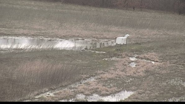 Cell 2 to 3 Monitoring-22-04-08_19-26-05-67