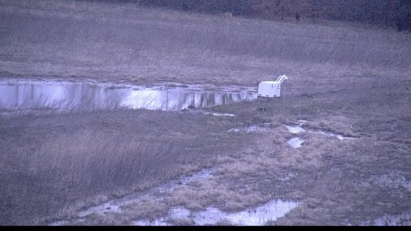 Cell 2 to 3 Monitoring-22-04-08_20-28-14-64