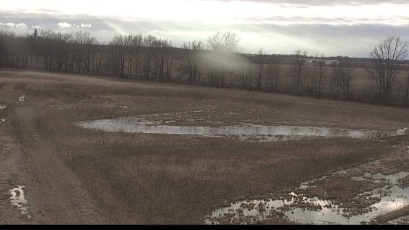 Cell 2-22-04-08_19-25-51-69