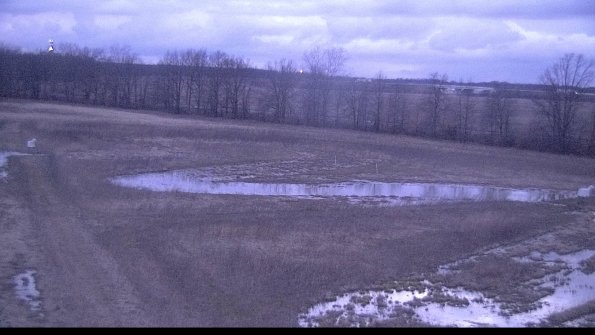 Cell 2-22-04-08_20-28-00-66