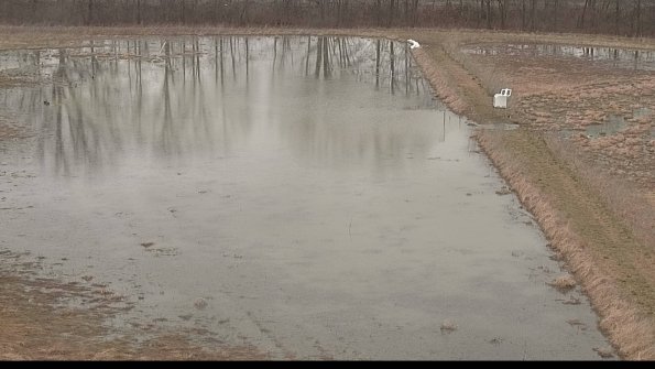 Cell 3 to 4 Monitoring-22-04-08_09-05-10-91