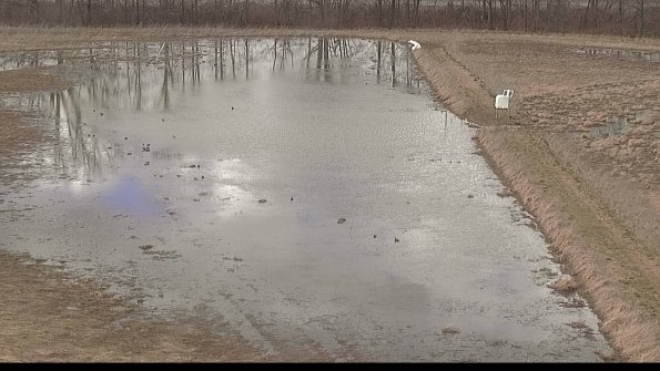 Cell 3 to 4 Monitoring-22-04-08_16-20-07-75