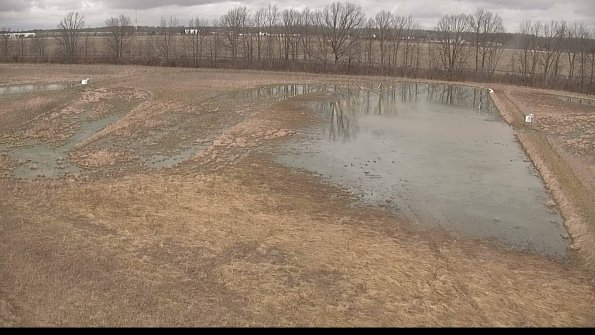 Cell 3-22-04-08_12-11-21-84