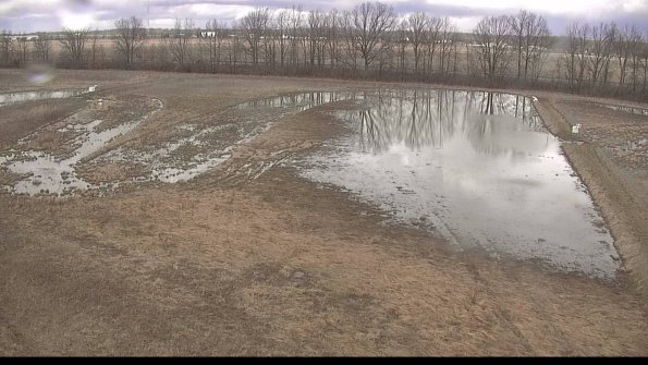 Cell 3-22-04-08_13-13-30-83