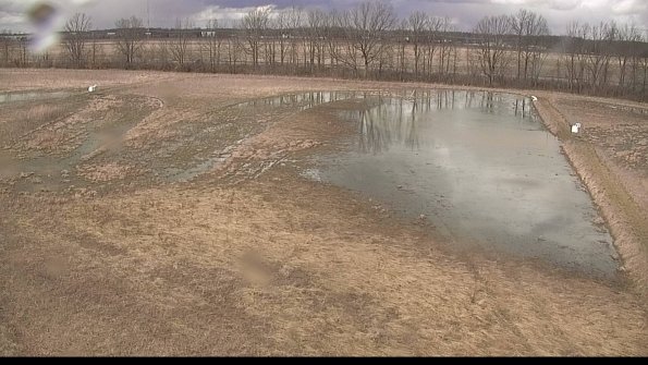 Cell 3-22-04-08_14-15-36-78