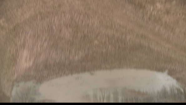 Cell 4-22-04-08_12-23-51-82