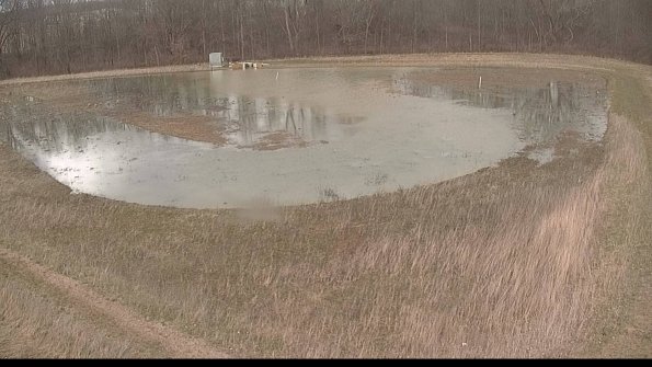 Cell 4-22-04-08_16-20-21-76