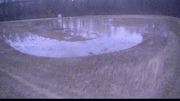 Cell 4-22-04-08_20-28-57-65