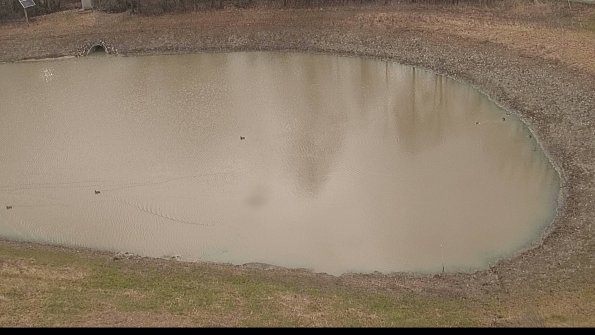 Settling basin-22-04-08_12-00-07-83