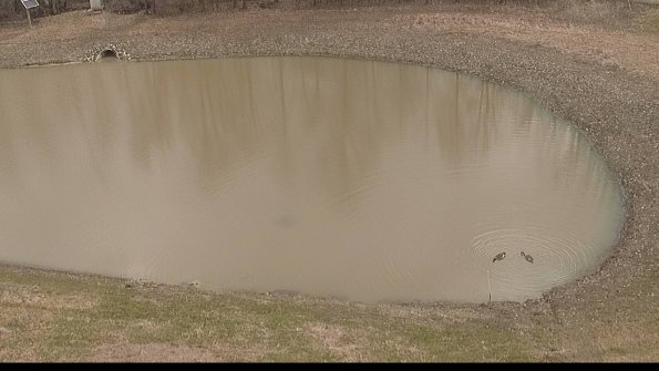 Settling basin-22-04-08_13-12-19-82