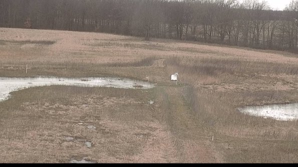 Cell 1 to 2 Monitoring-22-04-09_13-02-05-20