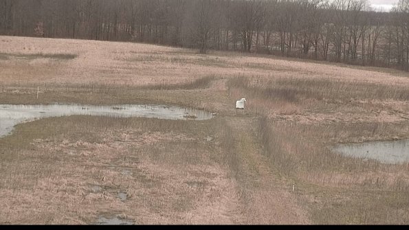 Cell 1 to 2 Monitoring-22-04-09_14-04-14-17