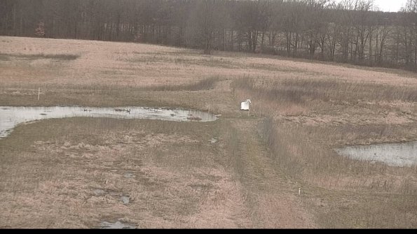 Cell 1 to 2 Monitoring-22-04-09_17-10-38-08